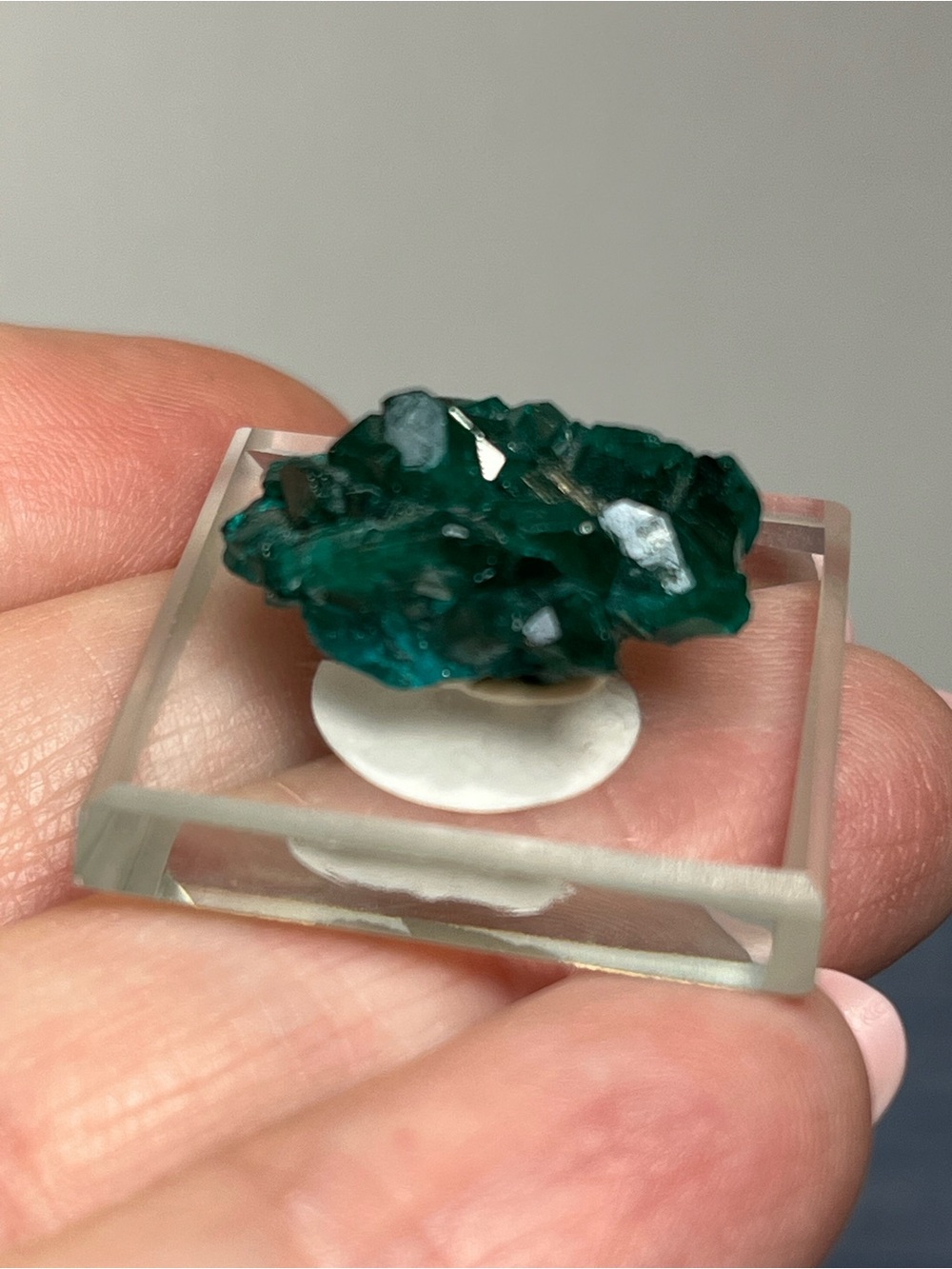 Dioptase Specimen on Matrix